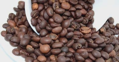 are black beans healthier than pinto beans