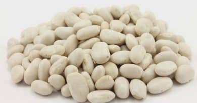 are great northern beans healthy