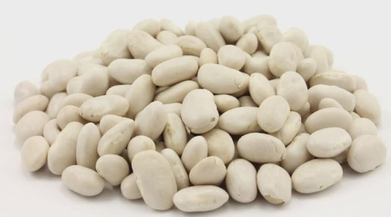 are great northern beans healthy