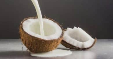 coconut milk yogurt benefits