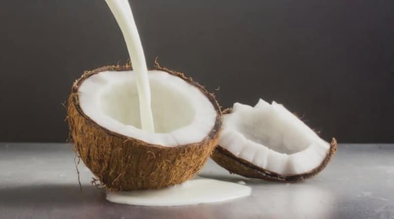 coconut milk yogurt benefits