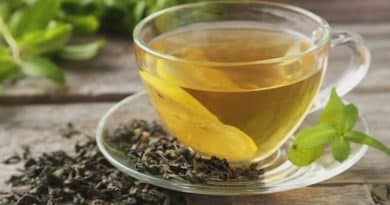 green rooibos benefits