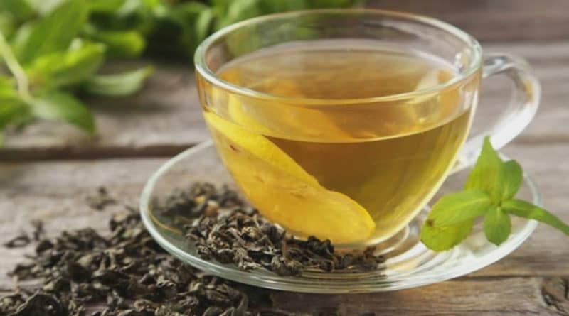 green rooibos benefits