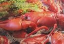 health benefits of crawfish