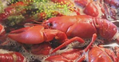 health benefits of crawfish