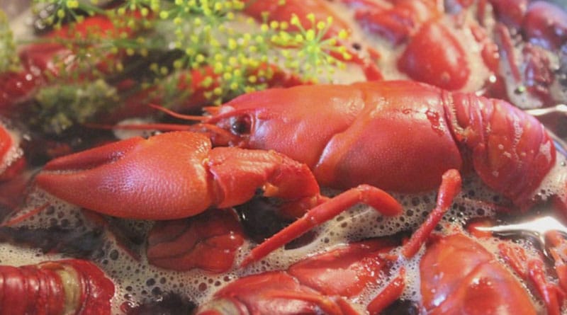 health benefits of crawfish