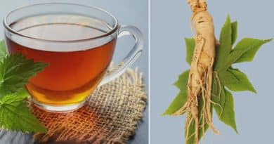 benefits of green tea and ginseng