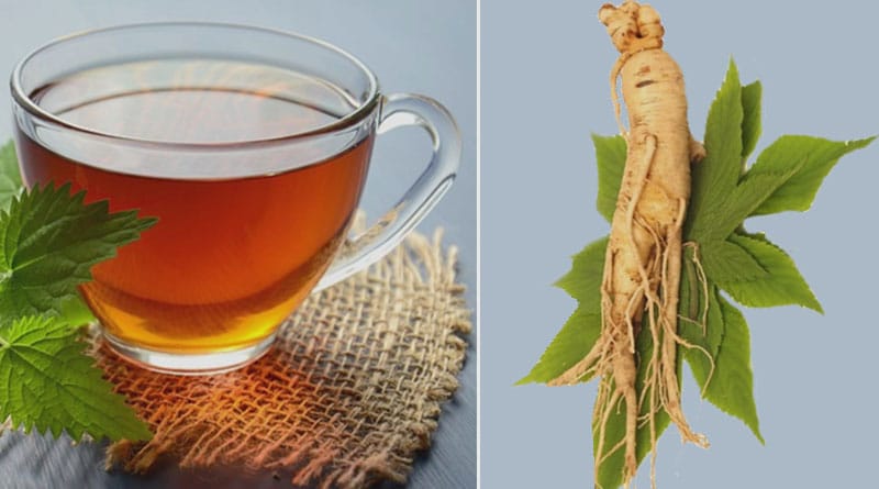 benefits of green tea and ginseng