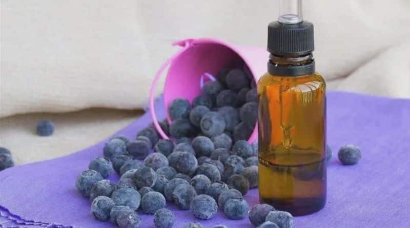 blueberry seed oil skin benefits