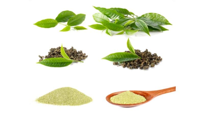 nutrients of gunpowder green tea